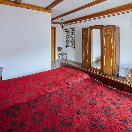 Pensiunea Colt Alb Guest house Ocolis